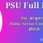 PSU Full Form in Hindi