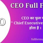 CEO Full Form in Hindi