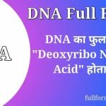DNA Full Form in Hindi